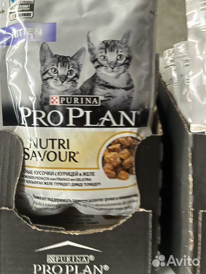 Корм proplan для котят с курицей