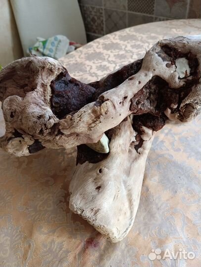 Коряги дрифтвуд