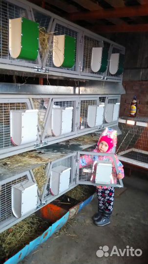 Белый великан