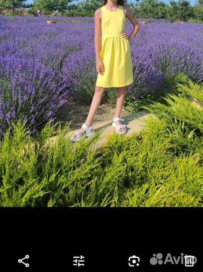 Платье Акула