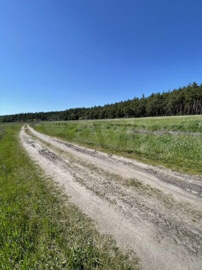 Участок 10 сот. (ИЖС)