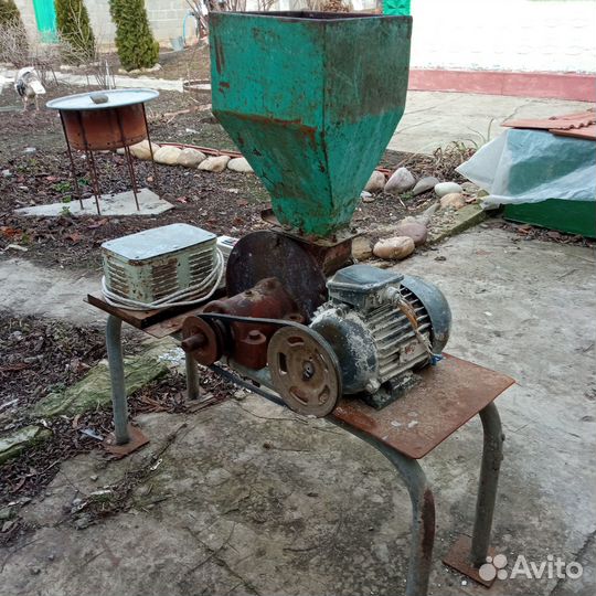 Крупорушка