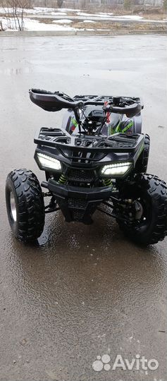 Wild 125
