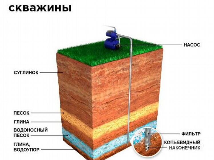 Как найти воду для скважины на участке и определить ее качество?