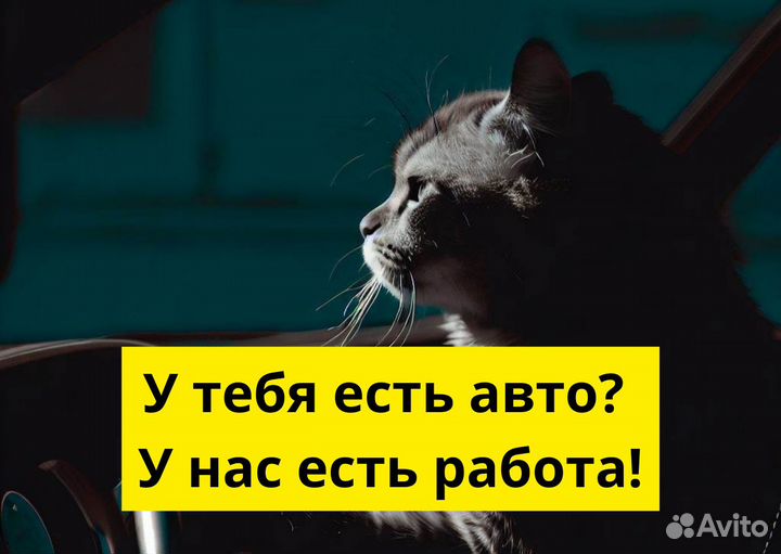 Подключай свой автомобиль к Яндекс Go