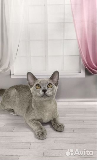 Мальчик с потрясающим характером