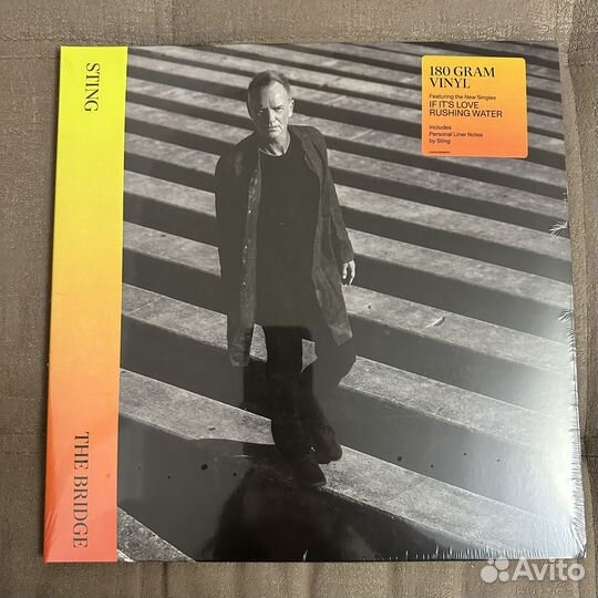 Sting SS - the Bridge Germany