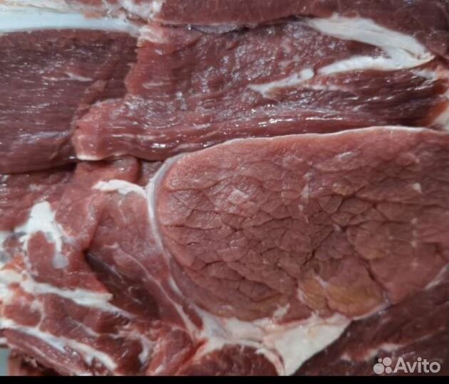 Мясо халяль из Дагестана