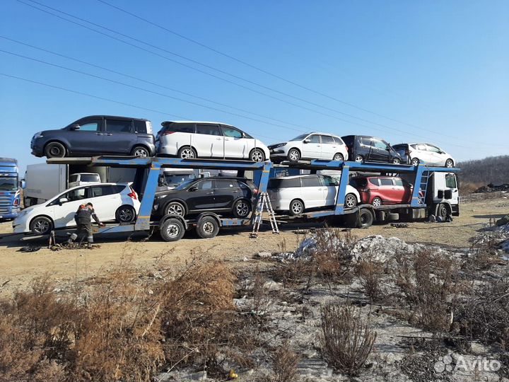 Автовоз Новороссийск - любое направление