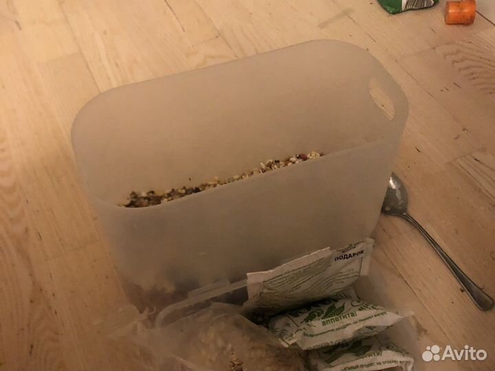 Крысы домашние с клеткой к