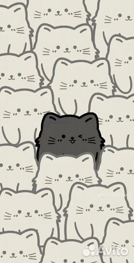 Индивидуальный проект 10 класс