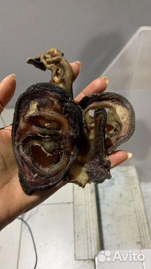 Вкусняшки для собак