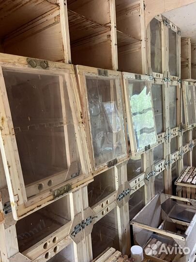 Павильон для пчел