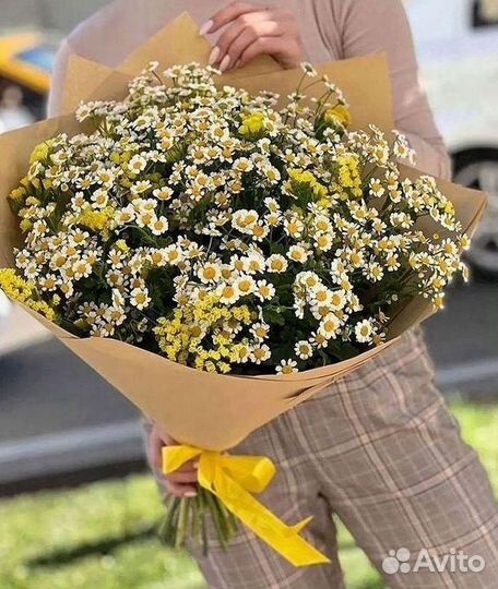 Букеты ромашек