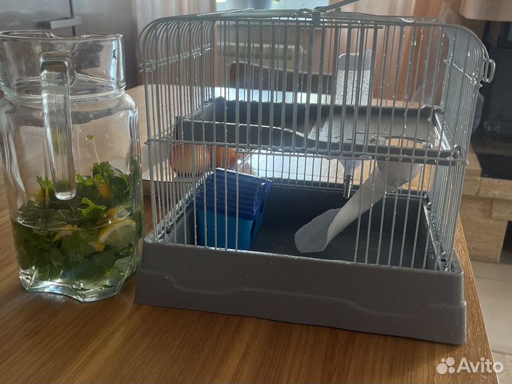 Клетка для хомяка бу