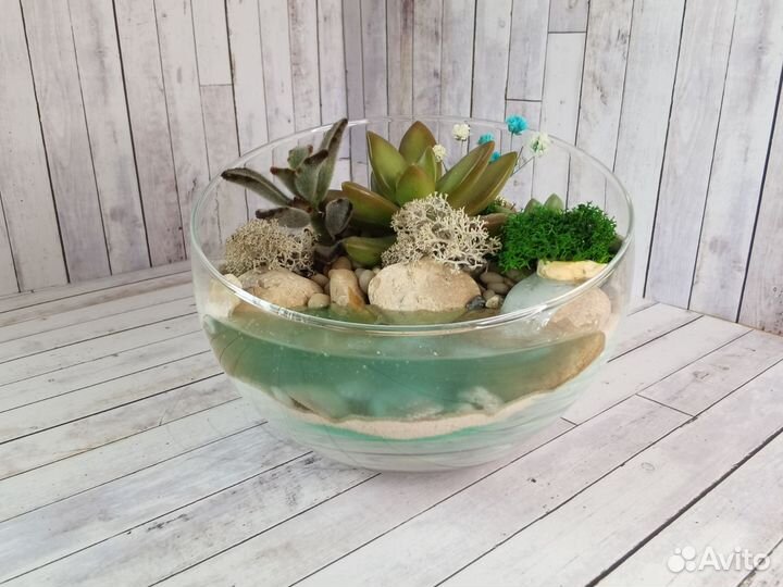 Флорариум полусфера