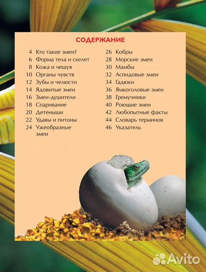 Змеи. Детская энциклопедия. Джонатан Шейх