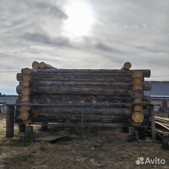 Сруб дома из бревна