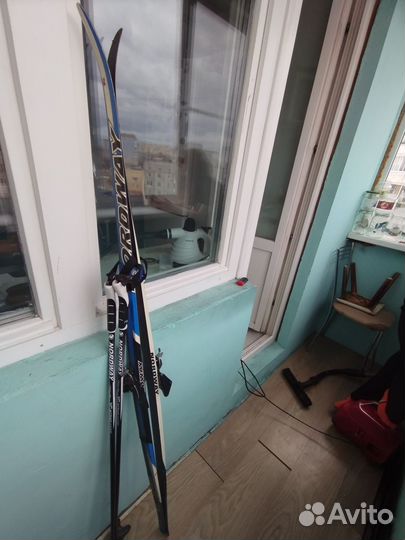 Лыжные ботинки