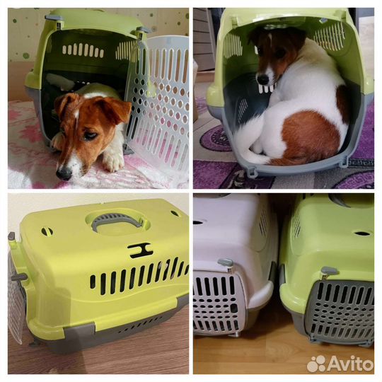 Товары для животных