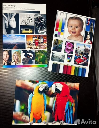 Epson XP- 2100 (бесчиповая снпч+Wi-Fi)