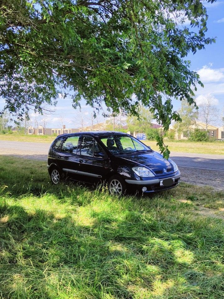Renault Scenic: фото владельца
