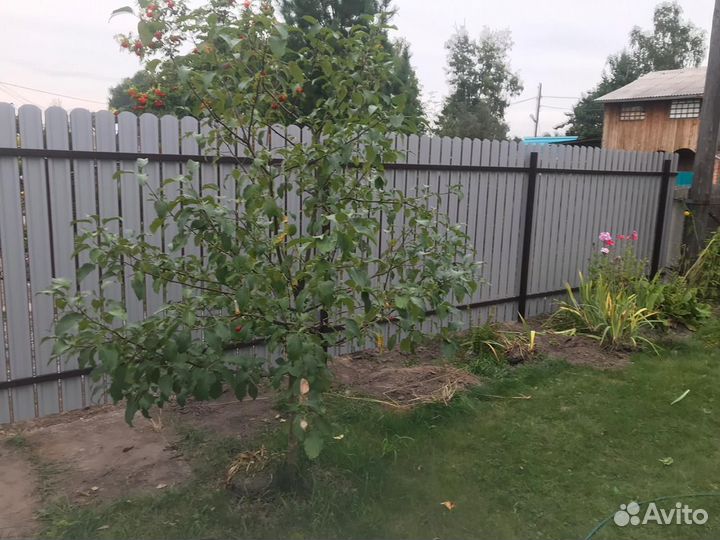 Забор из евроштакетника