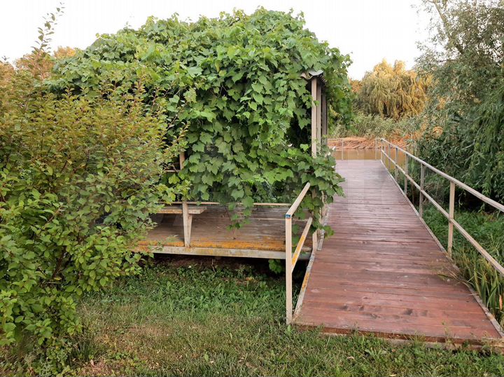 Дача 50 м² на участке 30 сот.