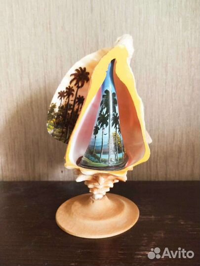 Большая ракушка, Куба