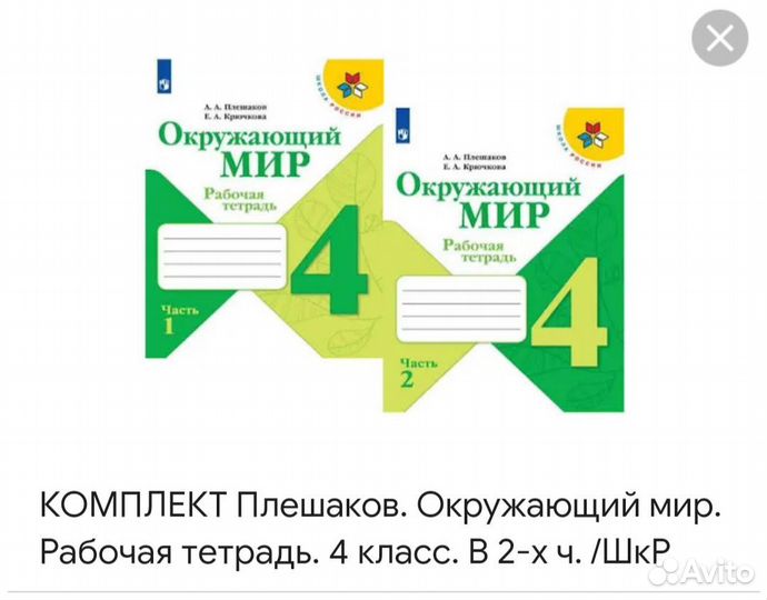 Комплект рабочих тетрадей по окружающему миру