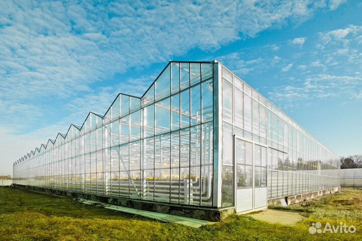 Готовый цветочный бизнес