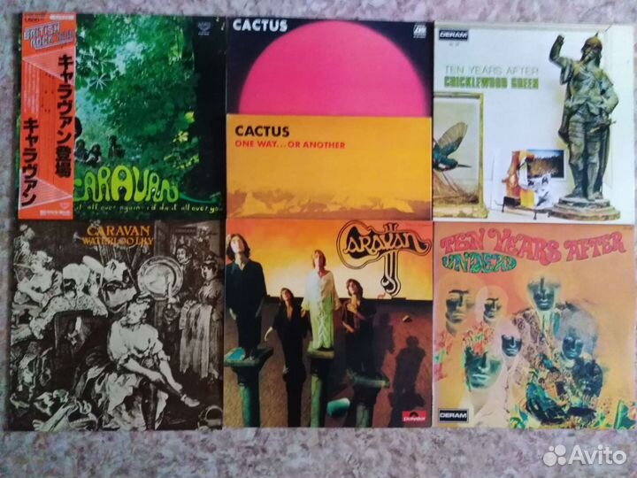Cactus Caravan Ten Years after Nazareth