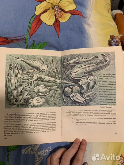 Книга Общая биология 10-11 класс