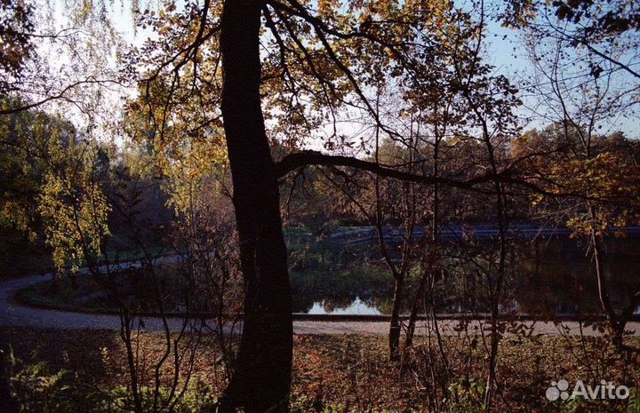 Свежая киноплёнка Kodak Vision 3 500t 36+ кадров