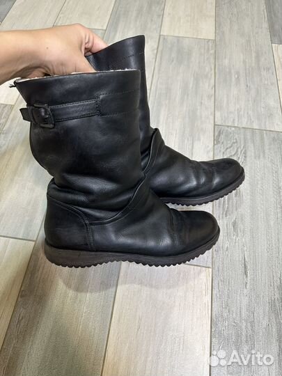 Сапоги зимние ecco оригинал