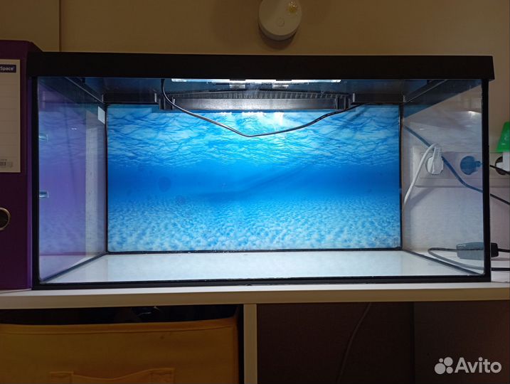 Аквариум