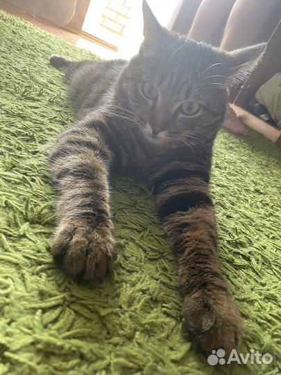 Домашняя гостиница