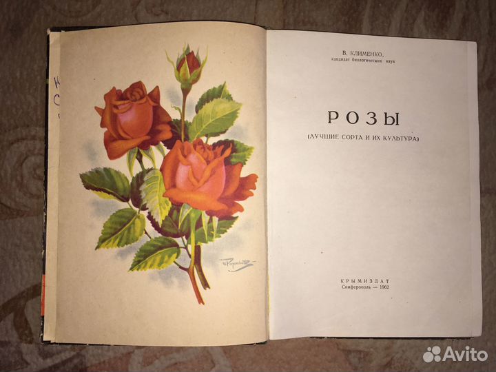 «Розы» В. Клименко