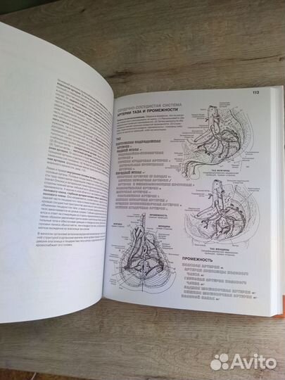 Атлас анатомии человека