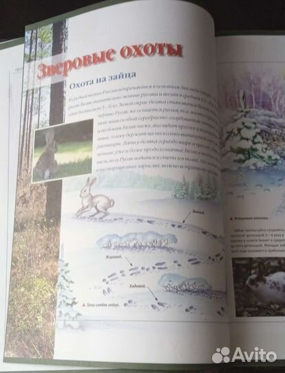 Охотнику в подарок