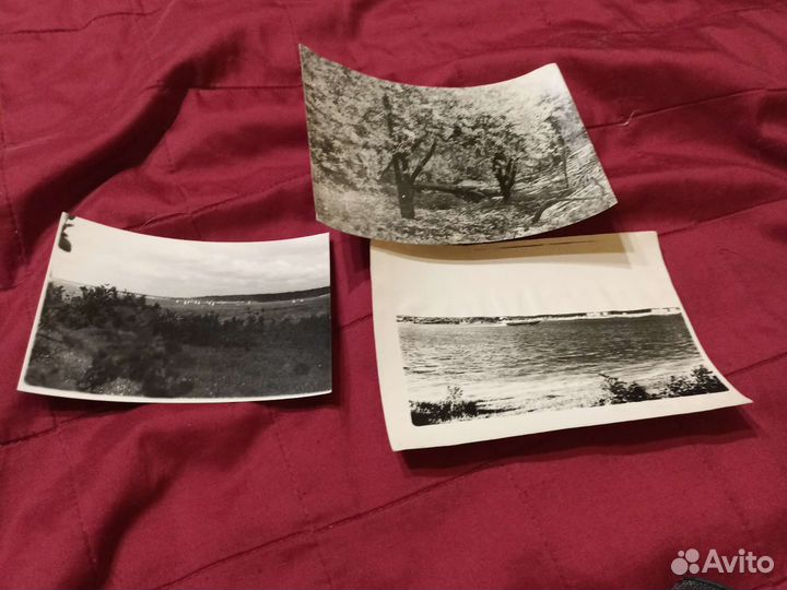 Фотографии