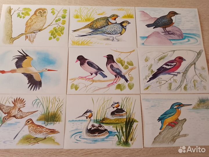 Набор открыток 