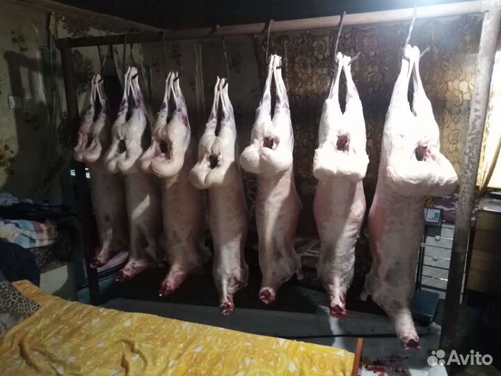 Баранина тушка