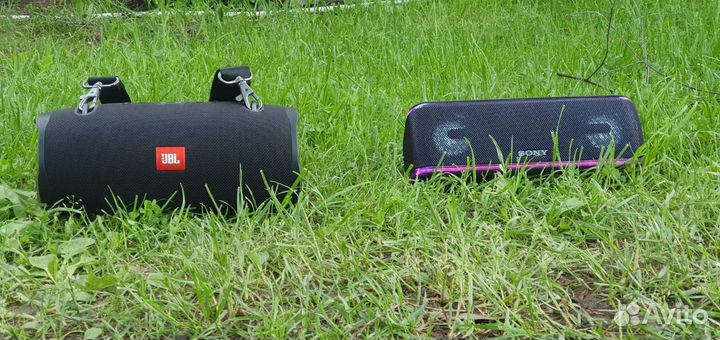 Консультация выбора акустики