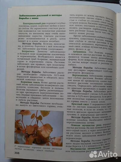 Энциклопедия комнатных растений