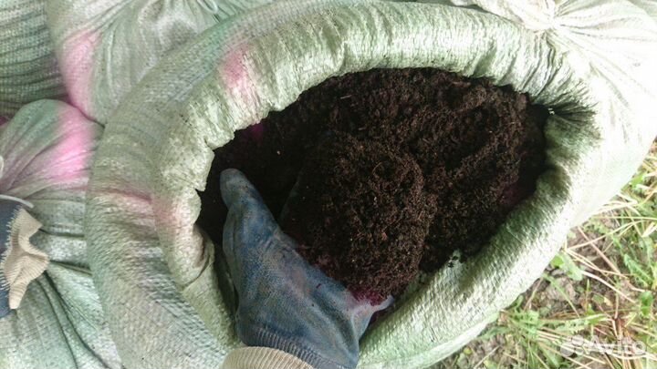 Перегной, навоз конский, навоз коровий