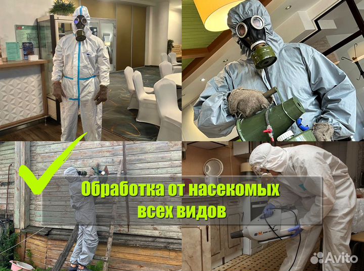 Уничтожение клопов, тараканов, клещей, ос, комаров