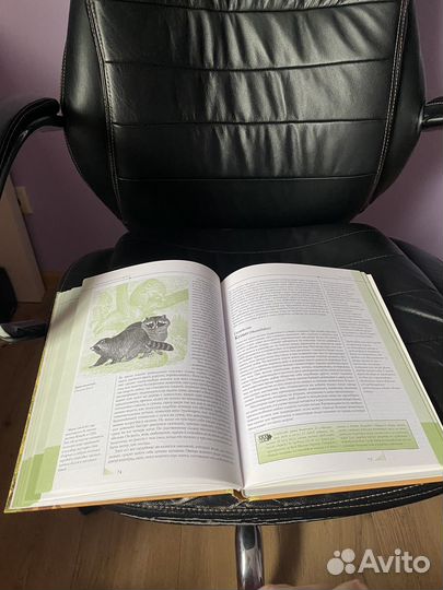 Книга Альфред Брем Жизнь животных