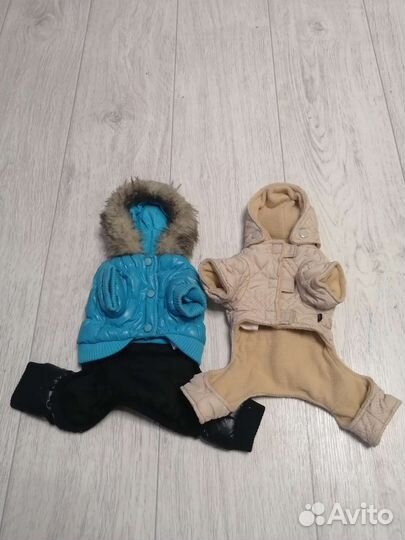 Костюм для собак