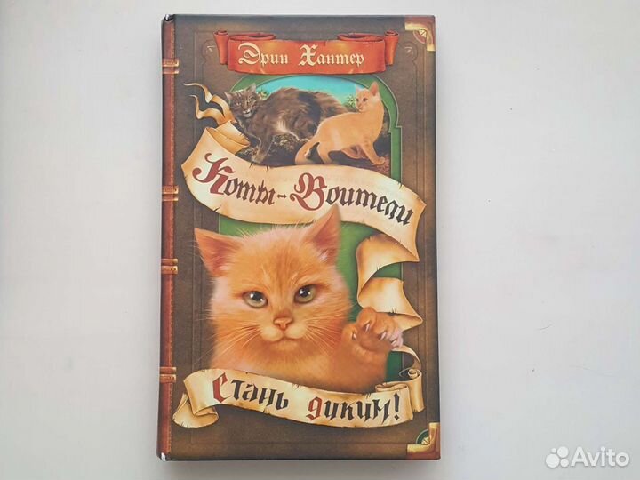 Аудиокнига коты воители читать. Коты Воители книга Восход солнца. Коты Воители опасная тропа. Коты Воители книга месть Кленовницы.